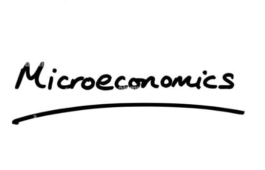 Introduction to Microeconomics